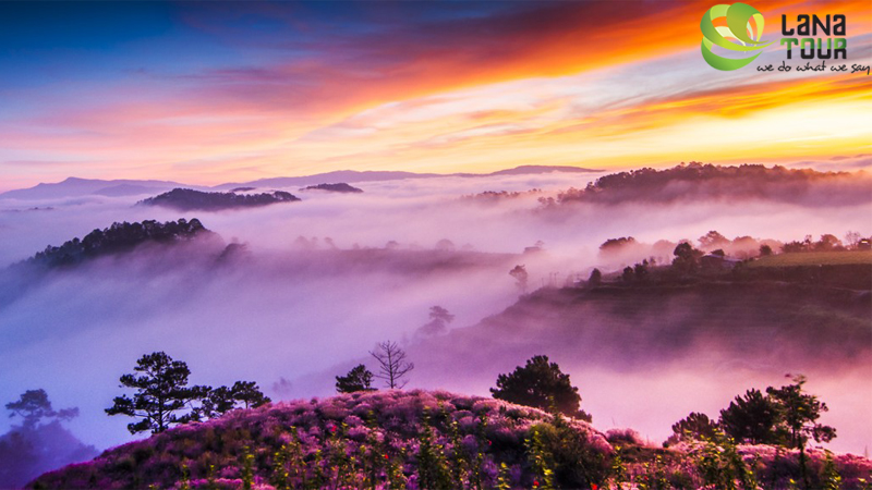 Da Lat