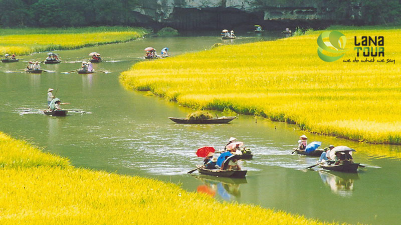 Tam Coc or Ha Long bay on land
