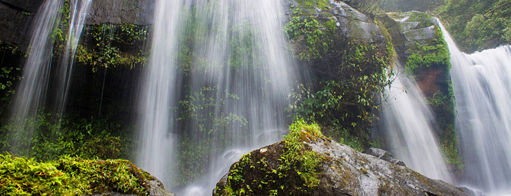 Bolaven Plateau
